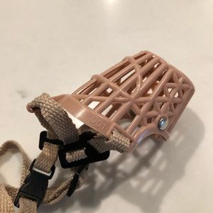 Small dog puppy or cat muzzle